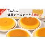 ふるさと納税 ケーキ・カステラ チーズケーキ 静岡県 沼津市 訳あり 濃厚 チーズケーキ 5個 セット 冷凍 工場直売 アウトレット スイーツ シェア 母の日 父の…
