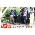 体験チケット 1726徳之島 金見 かなみ