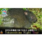 体験チケット 1727アマミノクロウサギが暮らす森へ