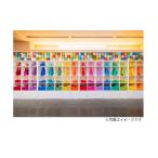 入場券 優待券 タオル美術館タオルアート