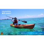 体験チケット 1737徳之島 カヤック ガイド付き
