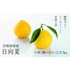 ふるさと納税 みかん・柑橘類 宮崎県 綾町  先行受付 初春の旬「日向夏」種が少ない ２.５kg ／ 日向夏 ひゅうがなつ 柑橘 フルーツ 綾町 宮崎県