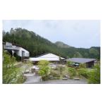 入場券 優待券 ウッドワン美術館 招待券