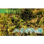 苗木 こけ専門 農家直送 ハイゴケの種 10L