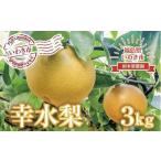 ふるさと納税 梨 福島県 いわき市 先行予約 梨(幸水)3kg 福島県 いわき市産