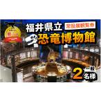 入場券 優待券 立恐竜博物館 常設展観覧券