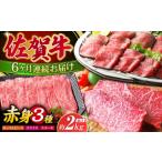 牛肉 ステーキ 全6回定期便 佐賀牛 赤身堪能セット