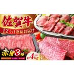 牛肉 ステーキ 全12回定期便 佐賀牛 赤身堪能セット
