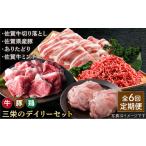 牛肉 炒め物 全6回定期便 ミンチ付き 三栄のデイリーセット 肉の三栄 HAA093 牛 豚 鶏肉 セット