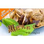 野菜類 薬味 黒にんにく 土佐の隠し玉 2袋×250g