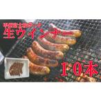 ふるさと納税 肉 ソーセージ 山梨県 富士川町 甲州富士桜ポーク生ウインナー10本 ウインナー ブランド ブランド豚 山梨 富士川町 グランピング バーべキュ…