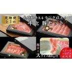 牛肉 ロース 全3回定期便 長崎和牛A4ランク以上