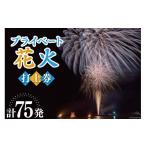 ふるさと納税 花火大会チケット 石川県 