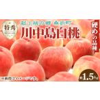 ふるさと納税 もも 福