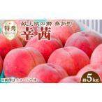 ふるさと納税 もも 福