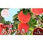 ふるさと納税 もも 福