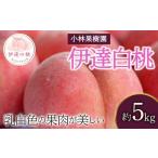 ふるさと納税 もも 福