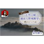 体験チケット 朝食付き 天空の城 越前大野城眺望と朝のごっ…