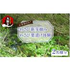体験チケット 食事付き わさび新芽摘みとわさび葉漬け体験
