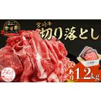 牛肉 セット 訳あり 宮崎牛 こま切れ 計1.2kg