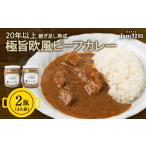 牛肉 カレー シチュー 22年継足し極旨欧風カレー 480g×2瓶