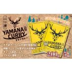 加工品等 レトルト ヤマナカレー200グラム×5個