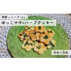 焼菓子 チョコレート クッキー ハーブと米粉のクッキー