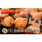 牛肉 ホルモン 牛 上ホルモン 計500g