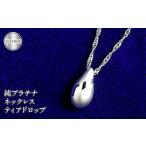 アクセサリー ペンダント 純プラチナ ペンダントトップ