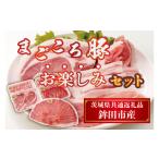 豚肉 セット DL-1 まごころ豚お楽しみセット