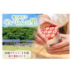 体験チケット 遊山四万十 せいらんの里 ゆったりお茶活体験…