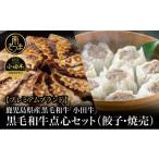 ふるさと納税 餃子 鹿児島県 南さつま市  プレミアムブランド 鹿児島県産黒毛和牛「小田牛」 牛肉100%点心セット（餃子・焼売） 総菜 餃子 ぎょうざ ギョーザ …