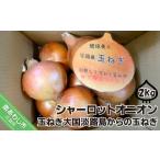野菜類 玉ねぎ 淡路島極熟玉葱 シャーロットオニオン 2kg