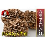 山菜 きのこ 九頭竜まいたけ 3株入り