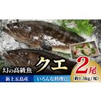 旬の鮮魚等 幻の超高級魚をご家庭で 養殖