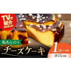 ケーキ カステラ チーズケーキ ヒルナンデスで紹介されまし…
