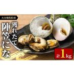 魚貝類 お試し用 陣笠にな 約1kg