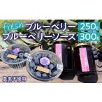 果物の詰合せ 2027年発送 農薬不使用