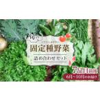 fu.... налог комплект *... префектура Okayama город Okayama овощи .. [ фиксация вид ] овощи Vaio динамик сельское хозяйство 7 товар передний и задний (до и после) (6 месяц ~10 месяц. доставка ) рефрижератор рассылка 