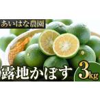 みかん 柑橘類 2026年8月上旬以降お申込み順に発送