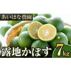 みかん 柑橘類 2026年8月上旬以降お申込み順に発送