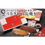 うなぎ ひつまぶし店 まるや本店 うなぎ紅白長焼き