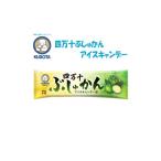 菓子 アイス 四万十ぶしゅかんアイスキャンデー 20本入