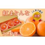 ふるさと納税 みかん・柑橘類 愛媛県 西条市 紅まどんな 赤秀 3Lサイズ３個入り 愛媛県産 西条市 （JA東予園芸） 先行予約 11月下旬〜12月下旬頃発送 ｜ まど…