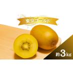 ふるさと納税 果物類 千葉県 船橋市  2026年度 キウイ キウイフルーツ 東京ゴールド イエロー ゴールド 3kg 国産 キウイフルーツ ビタミンC 果物 フルーツ ゴ…