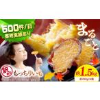 ふるさと納税 干し芋 長崎県 西海市 干し芋 訳あり 皮付き まるごと もっちりいも 約1.5kg(約250g×6袋) 大地のいのち CDA018 干し芋 干しいも さつまいも …