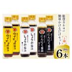 醤油 能登 カネヨの簡単かけるだけセット
