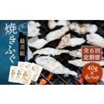 フグ 全6回定期便 焼きふぐ 40g×6パック
