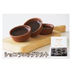 ケーキ カステラ タルト ショコラエッグタルト 9個入