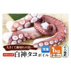 fu.... налог осьминог Akita префектура .. блок белый бог осьминог Boyle примерно 1kg(2~3 упаковка ) рефрижератор Akita префектура .. блок . производство 